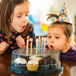 Party Savior Round Cake Cover