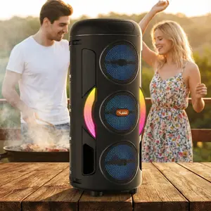 Portable Speaker with Wired Microphone Large Boombox Speaker Support TWS/AUX/USB/TF Card/FM Radio for Outdoor Party Beach Backyard Home