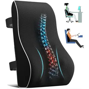 Lumbar Support Pillow Back Support Pillow for Car Chair Cushions Back Pain Relief Mesh Cover