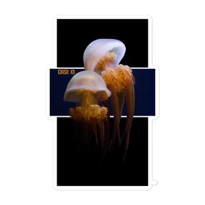 (1AD) J. FISH Sticker