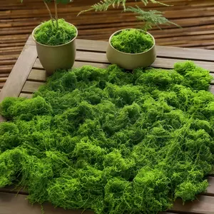 Fake Moss for Crafts 19.7" x 19.7" Faux Moss Mat for Plants Indoor Green Artificial Moss Rug for Decorating Planters Crafts DIY Table Centerpieces Fairy Garden Floral Wedding 50 x 50cm outdoorfun