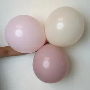 Pink Macarons Balloon Garland 3-in-1 Kit