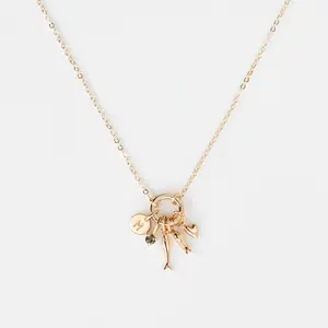 Solid Gold Charm Holder Necklace