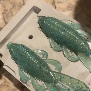 12 pack of our Golden Sea bandito bugs