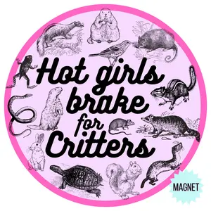 Hot Girls Brake For Critters Car Magnet | Gen Z Car Magnet | Bumper Magnet | 6" x 6"