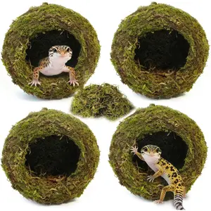 4 count Crested Gecko ,Reptile Mossy Caves Hideout,Leopard Gecko Humid , Moss Cave Hiding Decor  Accessories for Reptiles, Amphibians,Invertebrates,Lizard,Frog