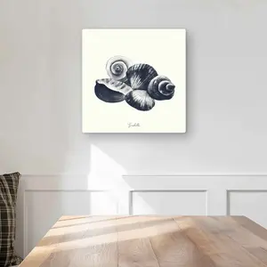 212 MAIN Blue Seaside Shells Aluminium Metal Print Wall Art - 16x16 in, Nature-Inspired Nautical Prints, Ocean Artwork with Oceanic Designs, Coastal Home Decoration & Gifting Item