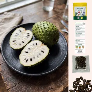 Organic Soursop (Graviola) Seeds – 30pcs Non-GMO Heirloom Tropical Fruit seeds