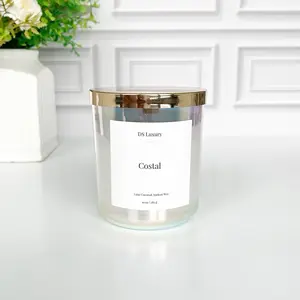 Costal Scented Candle – Luxe Coconut Apricot Wax | 10 oz Minimalist Candle | Clean Coastal Scent | Hand Poured | DS Luxury Candless