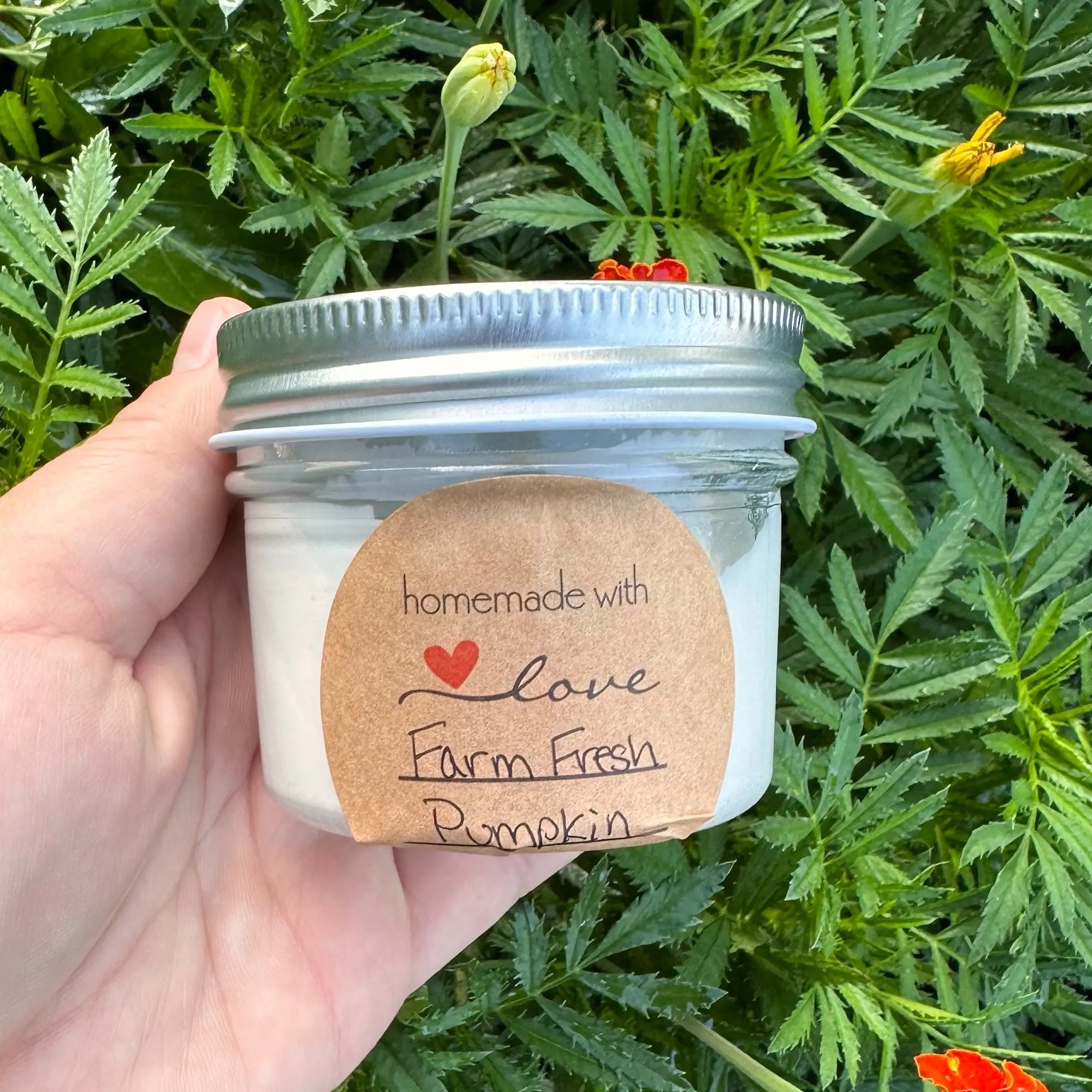 Davis Creek Farm Homemade Goat Milk Lotion: Farm Fresh Pumpkin Scent