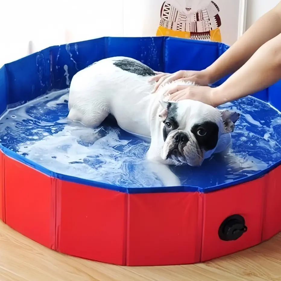 63"x12" Durable Hard Plastic Dog Swimming Pool - Fun Collapsible Pet Bathtub for Home & Bathroom Supplies Wash Tubs