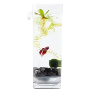 Self-Cleaning Betta Fish Aquarium with River Stones + Food