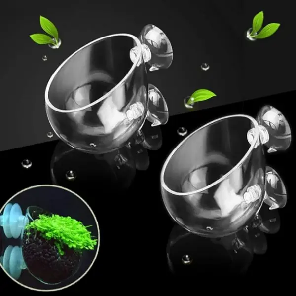 2 PCS Transparent Crystal Glass Aquatic Plant Pots - Hanging Hold Fish Tank Holder with Suction Cups, Tilted Opening, Vertical View for Red Shrimp Live Plants, Aquarium Aquascape Decoration