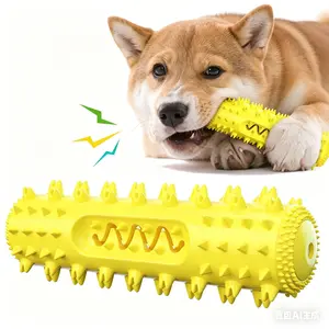 Squeaky Dog Toothbrush Chew Toy, Durable Dental Care Toy for Aggressive Chewers, Puppy Teeth Cleaning Toy