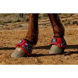 Cheetah and Red bell boots