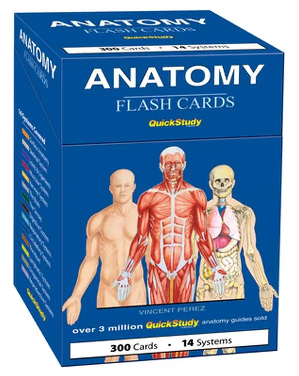 Anatomy Flash Cards - Quickstudy Reference & Learning Tool by Vincent Perez (Flash Cards for Studying, Medical Science Book Aid), Learning Flash Cards