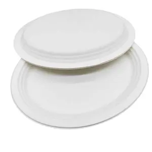 Disposable Paper Plate Handmade Creative Hand-painted Graffiti Paper Plate Cake Plate Biodegradable Tableware