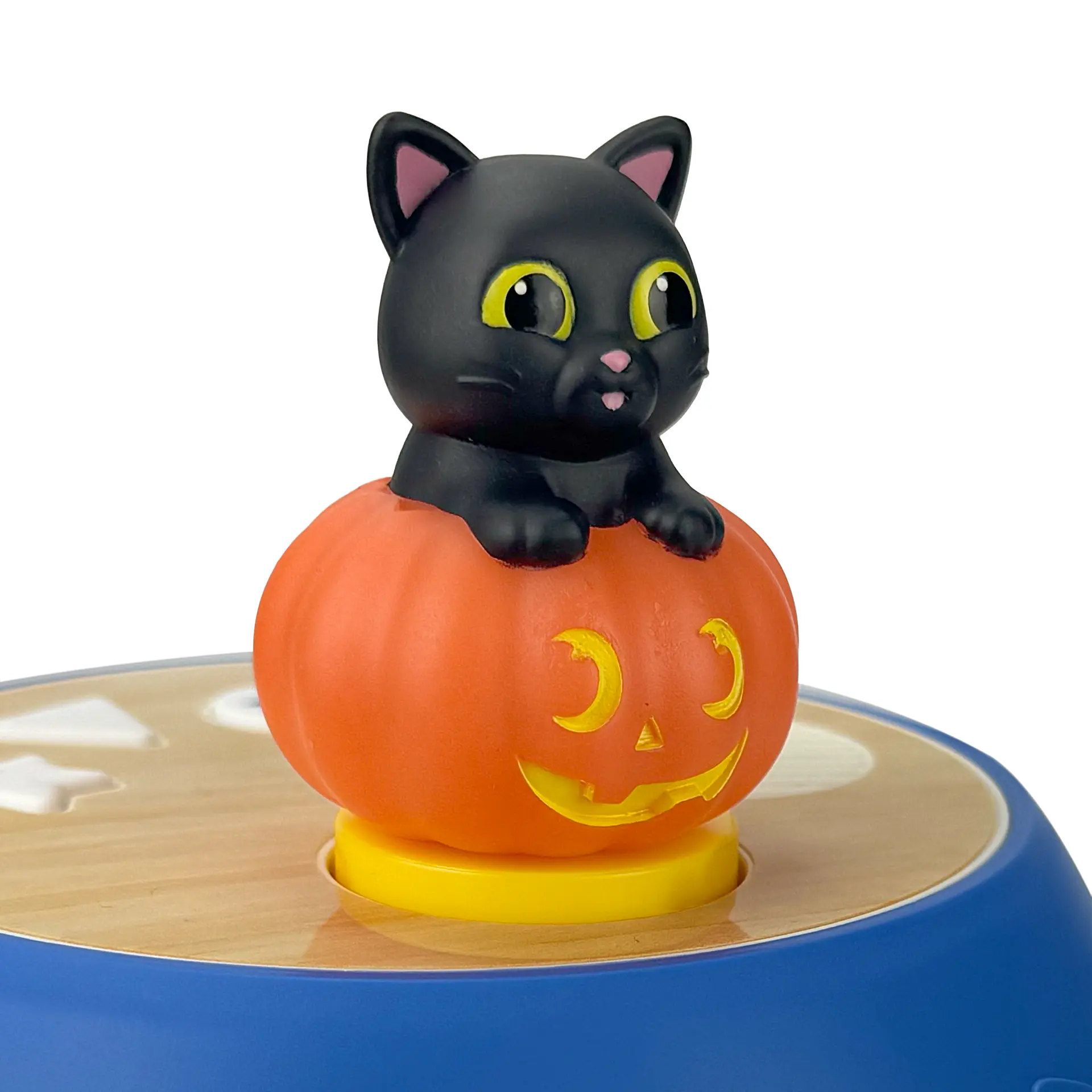 Luna - Little Black Cat