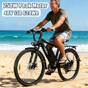 ZNH Electric Bike for Adult 750w Powerful Motor,48V/13AH Removable Battery,Max 25 mph, 26" Durable Tire, off-road Ebike & Mountain Bike,21-Speed,UL2849