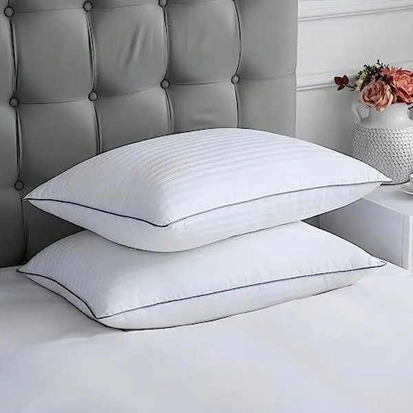 100% Egyptian Cotton Pillow Protector with Zipper 2 Pack Hypoallergenic Oeko-Tex Certified Machine Washable Queen Size 20x30In