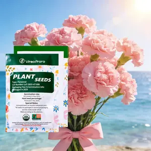 Grow Beautiful Carnations at Home  Easy to Plant Flower Seeds for Beginners