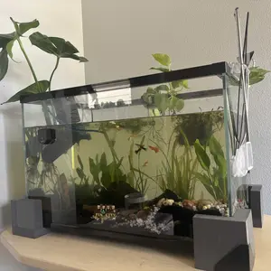 review image 8