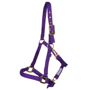 Dura-Tech Cushion Web Halter