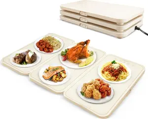 Food Warming Tray - Portable Electric 3 Interchangeable Tray Warmer With Adjustable Temperature - Suitable On Different Table Wares - Easy To Clean, Scratch Proof Tempered Glass Tray For Party, Buffet, Outdoor Rv, Picnic  Plates Board Serving