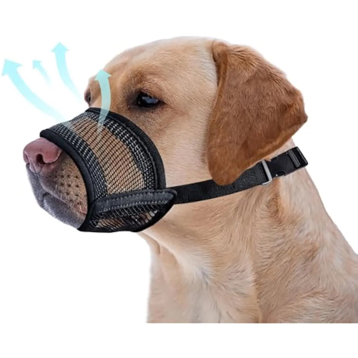 Comfort Lightweight Dog Training Muzzle, Ventilated Mesh Design No Overheating, Prevent Biting, Barking & Eating Garbage During Walking & Grooming