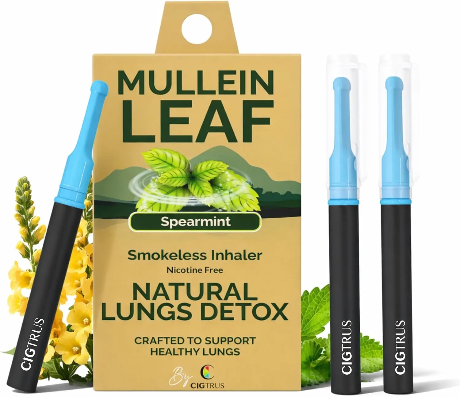 Cigtrus Mullein - Smokeless Inhaler, Quit Smoking Aid, Spearmint - 3 Pack