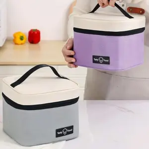 Colorblock Lunch Bag, Portable Insulated Lunch Bag with Handle, Lunch Box Bag for Students & Office Workers