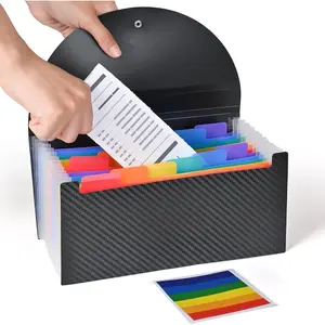 Accordion File Organizer, 13 Pocket Expanding File Folder, 10.2"x5.1" Small Receipt Organizer for Business,  Document Holder, Portable Folder Organizer for  Office School, Black