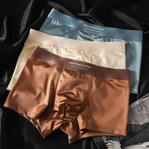 New Men's Underwear Satin Luxe Ice Silk Breathable Boxer Briefs