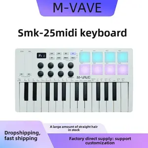 Portable MIDI Keyboard Controller – Compact Music Production Keyboard for Songwriting, Beat Making, and Live Performance, Perfect for Music Enthusiasts and Creators