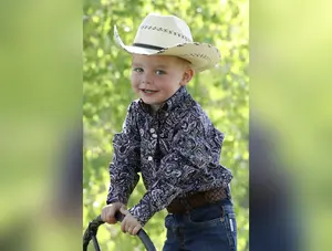 Cinch Infant and Toddler Boy's Multicolor Paisley Print Button Down Shirt