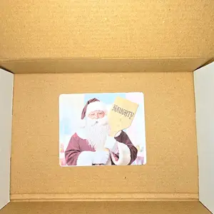 Prank Mail Christmas Naughty Santa Anonymously Sent to Your Friend, Ex, Coworkers, Siblings Funny Gag Gift