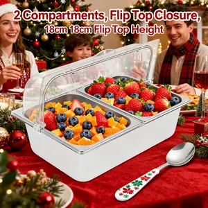 Kitchen Gadgets 2/4/5 Compartment Stainless Steel Fruit Tray with Ice Packs and Utensils Flip Lid Double Deck Snack Serving Platter for Parties Picnics Keeping Food Fresh Home Kitchen Dining Rectangular