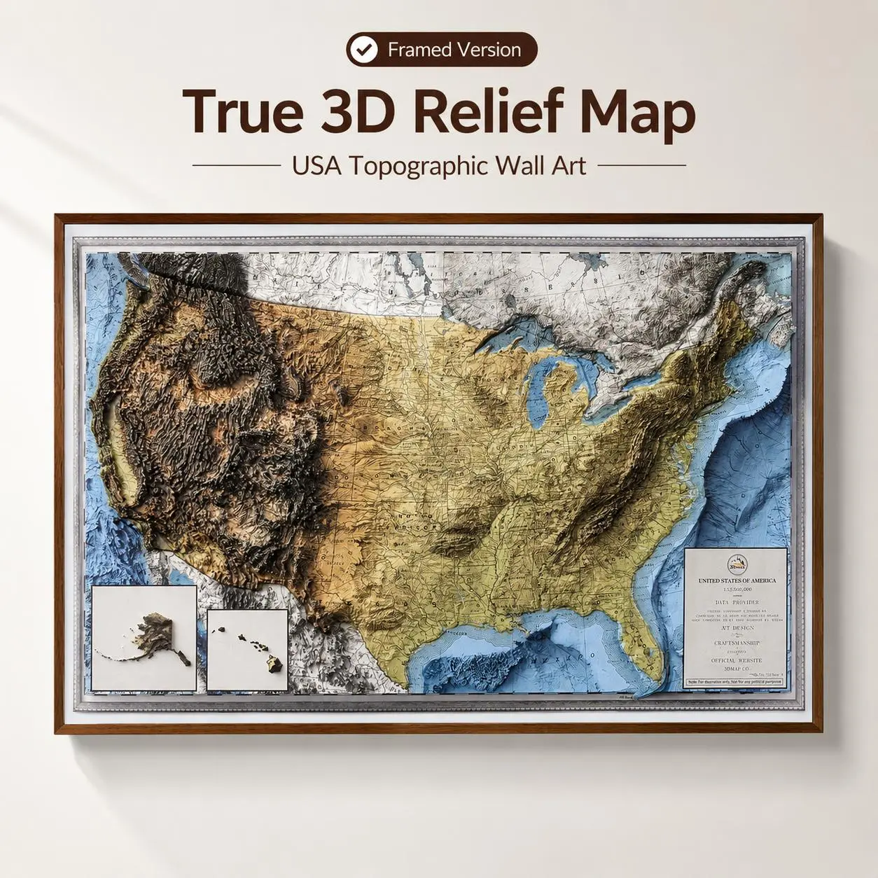 3D USA Topographic Map Decoration Print