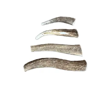 Elk Antler Dog Chews, All Natural Premium Dog Toy.