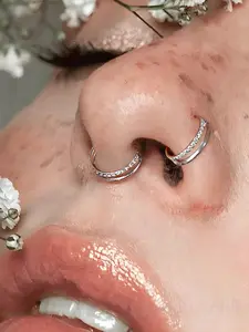 Double-Hoop Nose Rings, Hinged Nose Hoops, 316L Stainless Steel Septum Rings, 16g Clicker Daith Hinged Helix Piercing Jewelry, Cartilage Earring Gifts, 8mm, Non Tarnish Jewelry