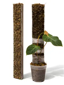 D-Shape Moss Poles for Climbing Plants – Premium, Handmade Support for Vertical Growth