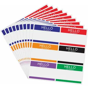 60 count Hello My Name is Stickers Bright Colorful Trendy Name Badge Tag Labels for Office, Meeting,Party and Mailing 3-1/2 x 2-3/8 Inch - 6 Color Per Sheet,10 Sheets(Style A)