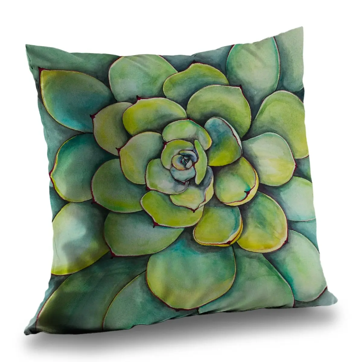 Begin Home Decor C1PT14141OOYVN 14 x 14 in. Watercolor Succulent Plant Throw Pillow - Bathroom Decor