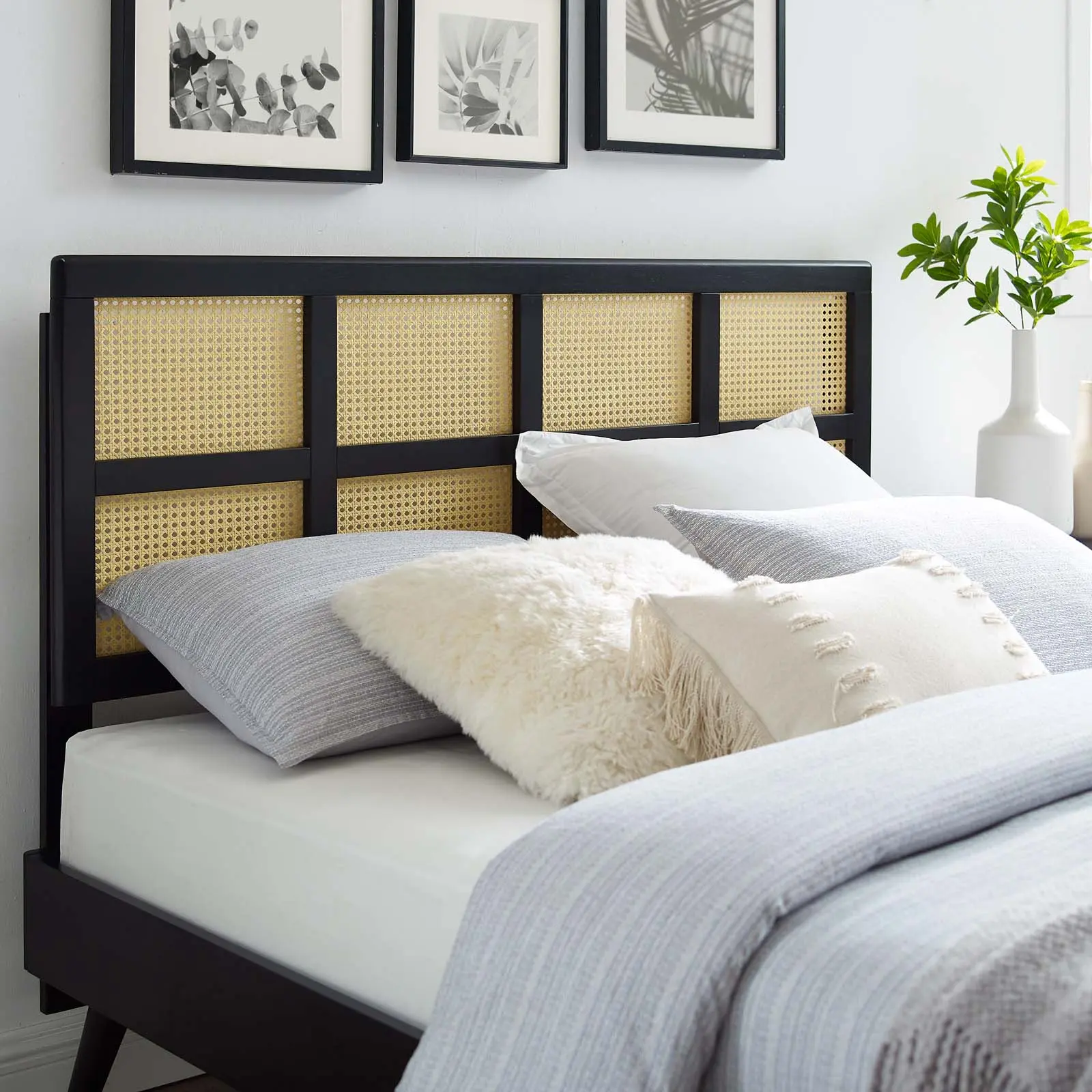 Modway Luana Cane Queen Headboard in Black