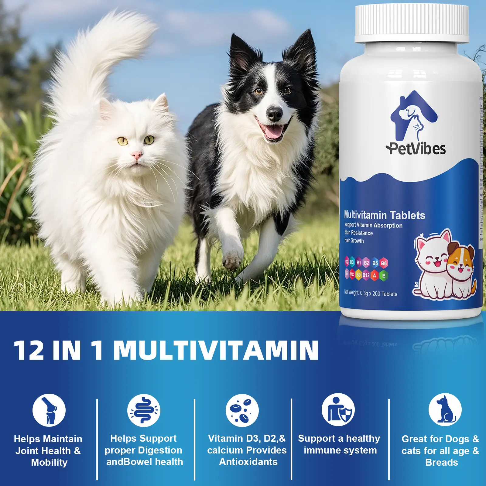 Daily Dog & Cat Multivitamin with Vitamins A, D3, E & B | Supports Skin, Coat, Bone & Heart Health, Maintains Immunity & Prevents Anemia | Ideal for Growing or Recovering Pets | 200 Tablets