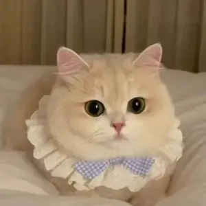 Cute Cat Cotton Lace Scarf Pet Collar, Adorable Dog Bibs with Butterfly Knot Decoration, New Style Pet Accessories for Cats & Dogs