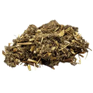 Mugwort (Cleansing & Protection)