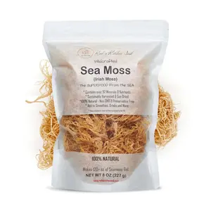 Wildcrafted Sea Moss (Irish Moss) Raw Vegan