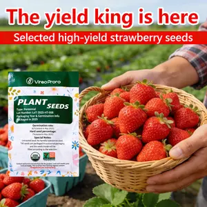 Strawberry Seeds Non-GMO Heirloom Sweet Berry Fruit Seeds for Home Garden, Easy Grow Outdoor Patio Balcony Container Planting, Ornamental & Edible Gardening Seeds
