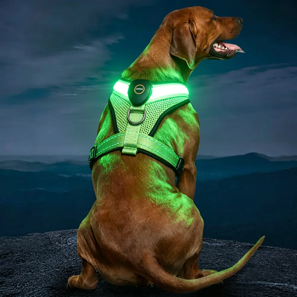 【LED Rechargeable】 Step-In Air Dog & Cat Harness and Leash Set No Pull - Breathable Light Up Mesh Vest with 5ft High-strength Reflective Nylon Rope for Small Medium Dogs & Cats - Adjustable, Easy Step-In girl personalized collar security secure